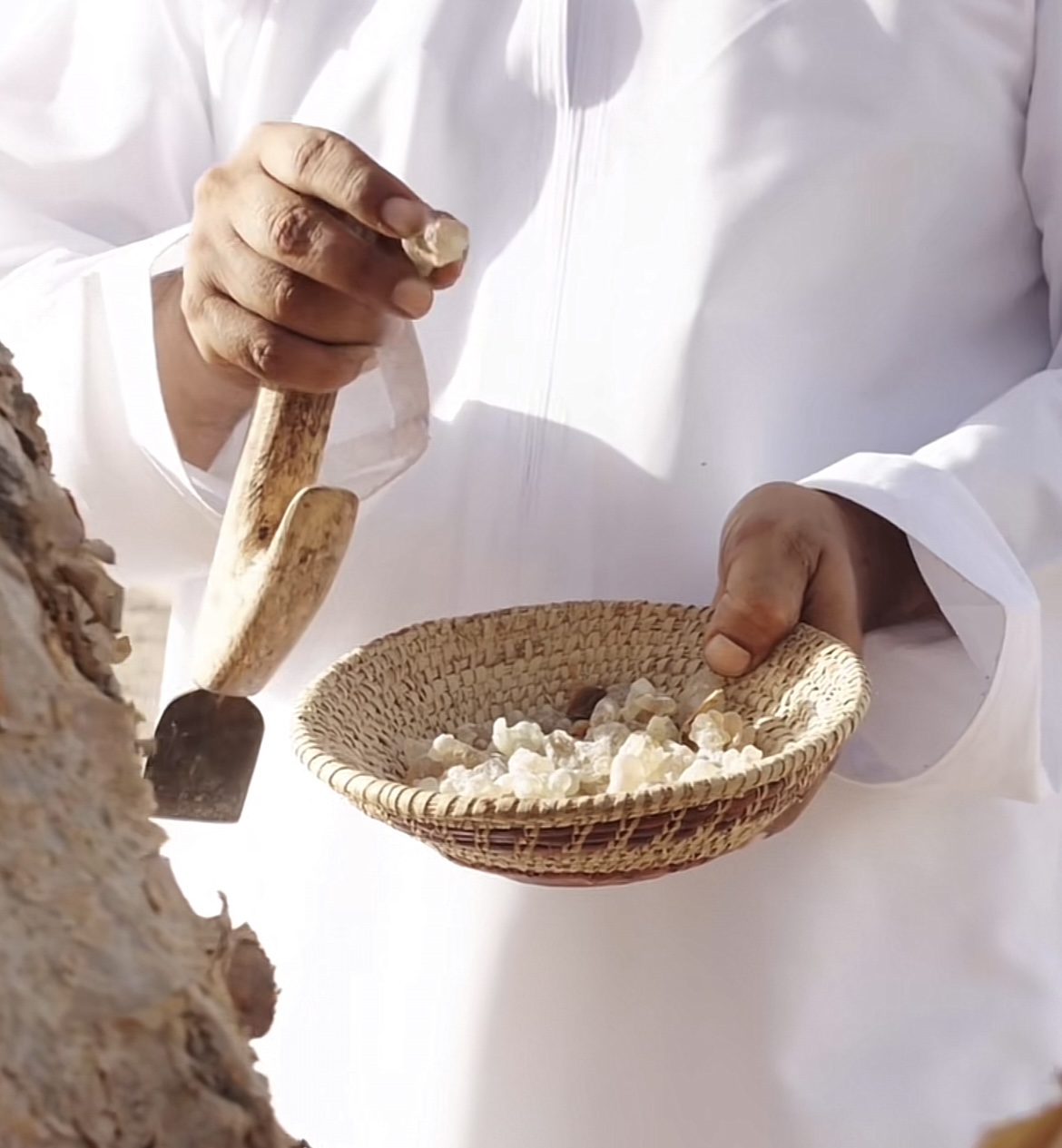 Processing Natural Resins - Quality Control at Eagum Exporters